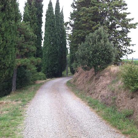 Agriturismo Fattoria Di Gratena Arezzo Bagian luar foto