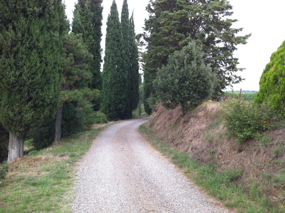 Agriturismo Fattoria Di Gratena Arezzo Bagian luar foto