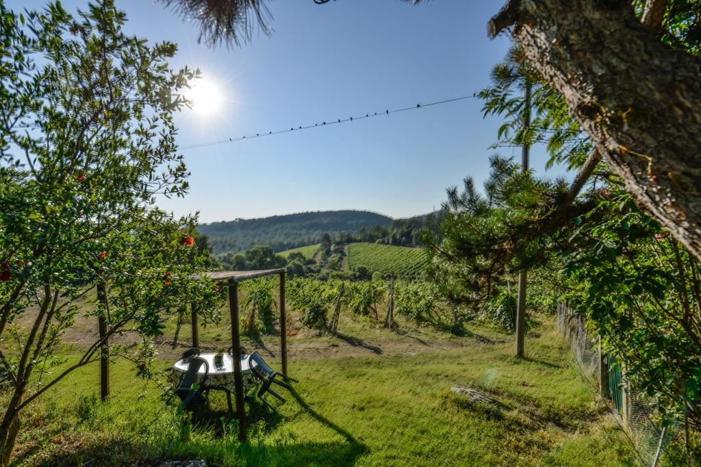 Agriturismo Fattoria Di Gratena Arezzo Bagian luar foto