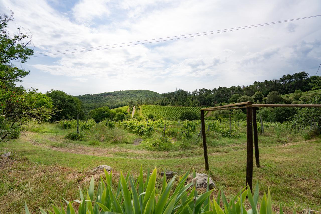 Agriturismo Fattoria Di Gratena Arezzo Bagian luar foto